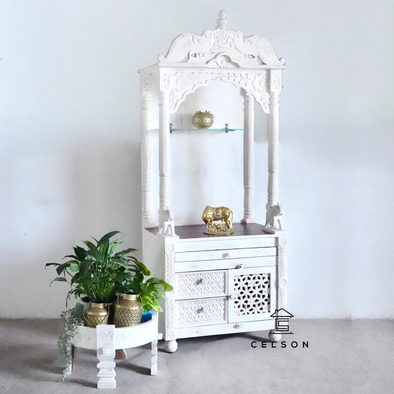 Shakti Carved Mandir