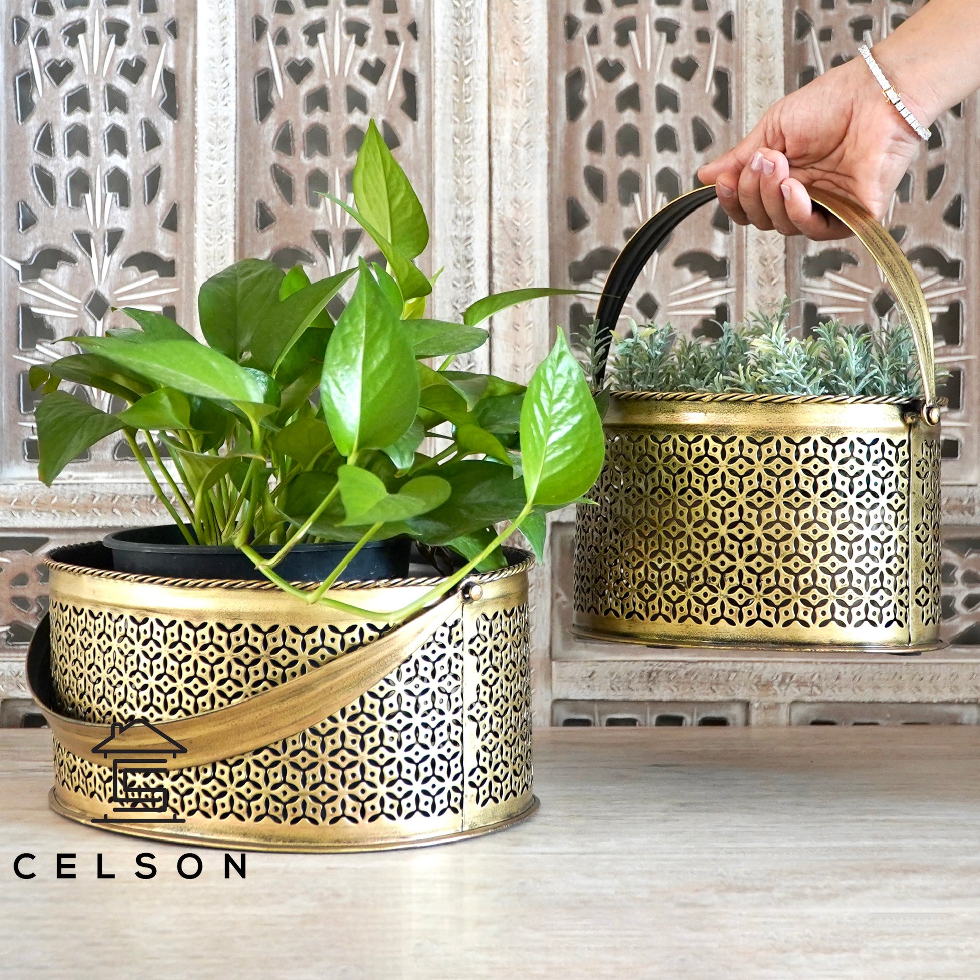 Stella Brass Finish Planter Basket