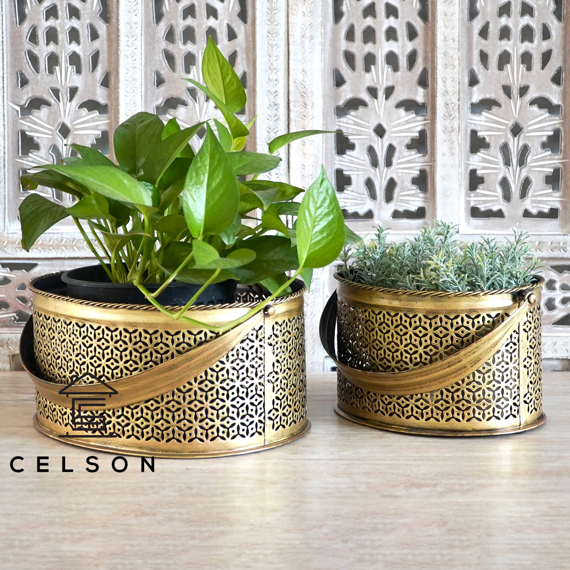 Stella Brass Finish Planter Basket
