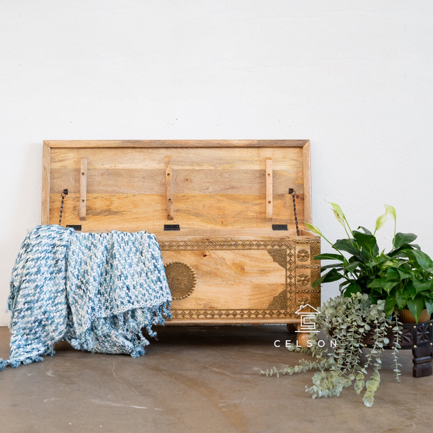 Simon Brass Fitted  Heritage Trunk