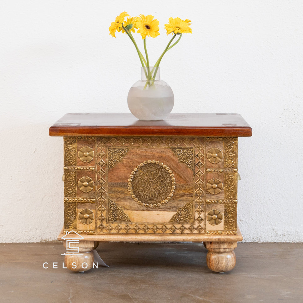 Simon Brass Fitted  Heritage Trunk