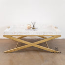 Switch Evan Tray Mother of Pearl Inlay Coffee Table 2 image