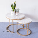 Switch Michelle Nesting Bone Inlay Coffee Table 1 image