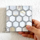 Switch Honey Mother of pearl Inlay Coaster 2 image