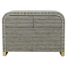 Switch Kivi Bone Inlay Chest 2 image